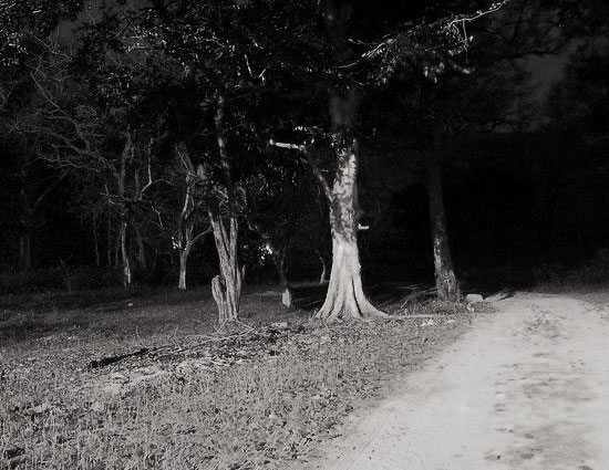 holidays,india,5 most haunted places of india,hunted places