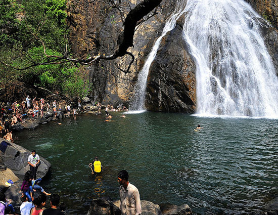 देखिये कहा है भारत के 5 सबसे ऊंचे झरने india tourism,tourism,waterfalls,tamil nadu,goa,meghalaya,karnataka,cherapunji,top 5 highest waterfalls of india,highest waterfalls