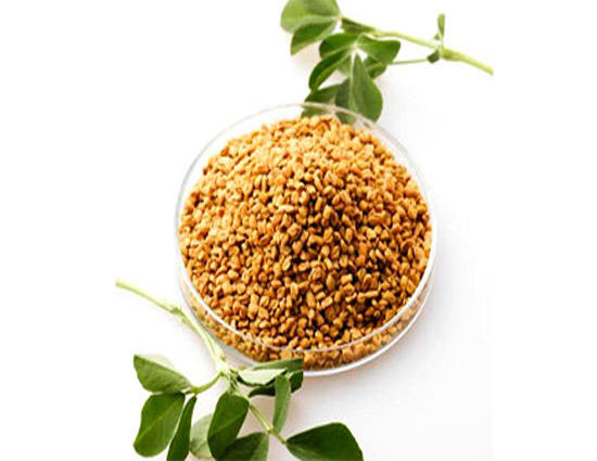 Health tips,fenugreek,5 amazing benefits of methi seeds,methi seeds,methi leaves