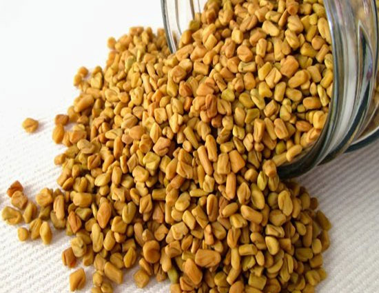 Health tips,fenugreek,5 amazing benefits of methi seeds,methi seeds,methi leaves