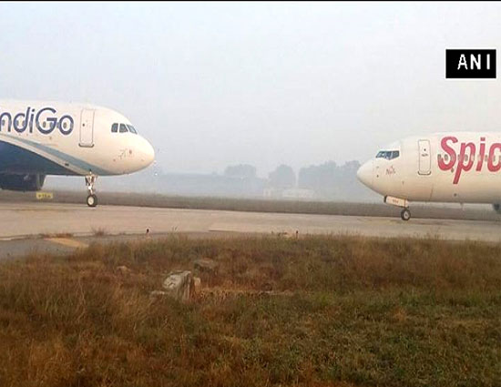 रनवे पर आया खरगोश , हो सकता था बड़ा हादसा 