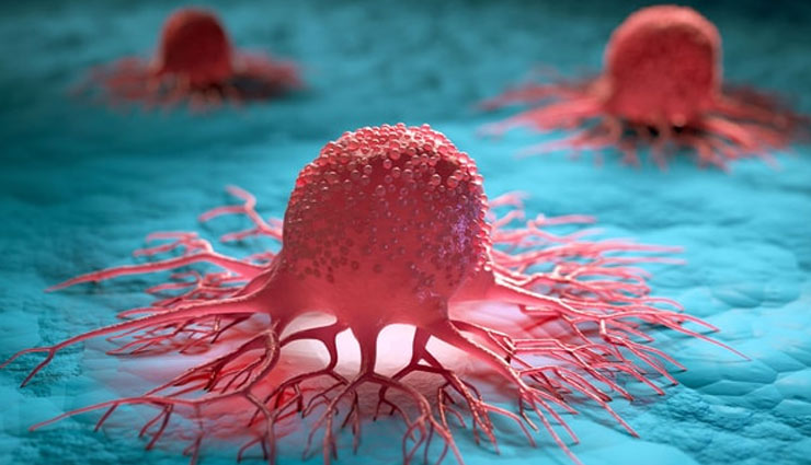 coronavirus,green tea,green tea advantages,green tea medicine,green tea leaves,black tea,weight problem  mouth,cancer,health article in hindi