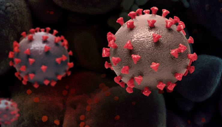 कोरोना के दो वैरिएंट से संक्रमित महिला की हुई मौत, जीनोम सीक्वेंसिंग से हुई थी पहचान;  जानें इससे जुड़ी हर बात