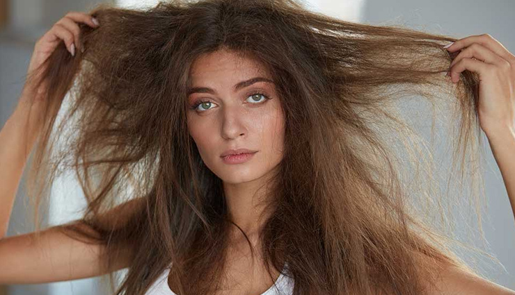 curd on hair,curd,hair,yogurt,shining hair,hair fall,dandruff,grey hair,beauty news in hindi