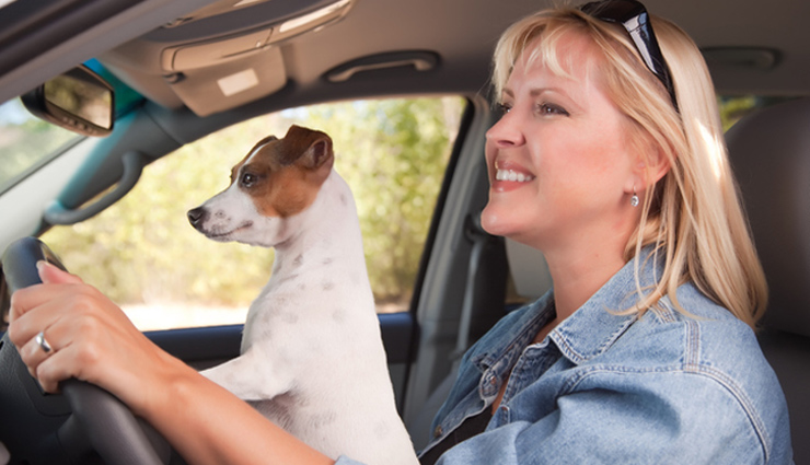 traveling,pets,traveling pets,flight,aeroplane,train,car,vaccination,travel news in hindi