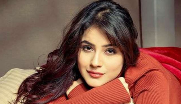 bigg boss-15,prerna sehajpal,donal bisht,shehnaaz gill,karan kundra,pratik,entertainment news in hindi