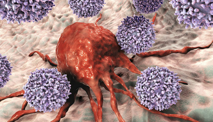 ginseng,root,panax plants,ginseng benefits,ginseng advantages,ginseng medicine,diabetes,heart,cholesterol,tension,tiredness,health article in hindi