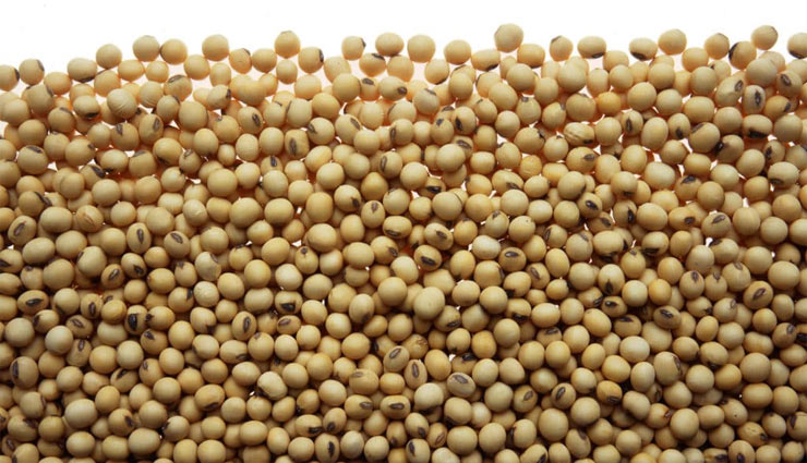 खराब पेट दूसरी बीमारियों को भी देता है न्यौता...ये हाई फाइबर फूड आपका पाचन करेंगे दुरुस्त fiber foods,digestion,chiya seeds,rajma,soybean,black beans,quinoa,broccoli,gram,almond,avocado,health article in hindi