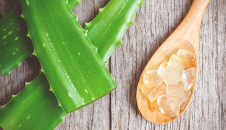 skin allergy,skin allergy reasons,skin allergy symptoms,skin allergy home tips,immunity,rashes,itch,pimples,neem aloe vera,health article in hindi