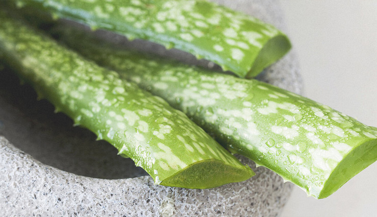 skin,skin glow,coconut oil,aloe vera,milk,almond oil,oat meal,beauty news in hindi