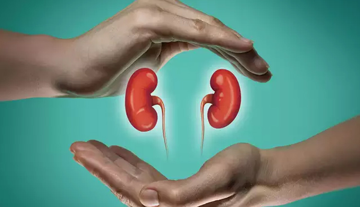 तरबूज का जूस : ठंडक प्रदान कर आपको रखे खुश, विषैले तत्वों को निकाले बाहर, इन अंगों का यार... watermelon juice,whole body,watermelon,skin,digestion,weight,kidney,asthama,health news in hindi