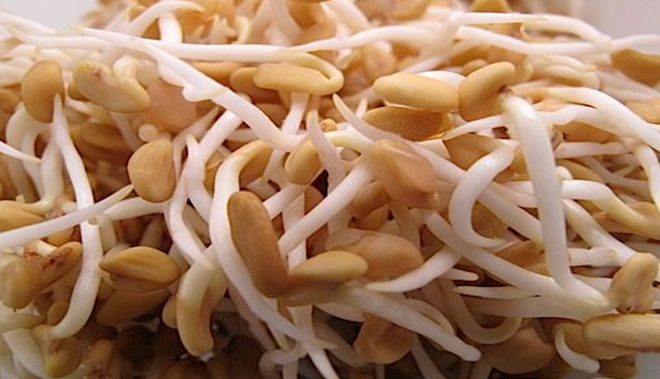 fenugreek seeds,methi,dana methi,fat,weight,fenugreek health,fenugreek tea,fenugreek water,honey,health article in hindi