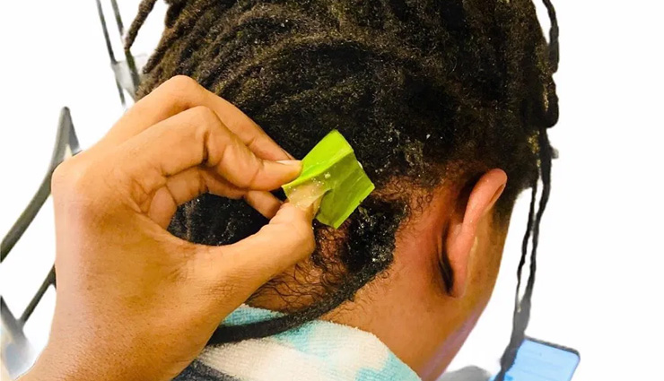 ‘चमत्कारी पौधा’ माना जाता है एलोवेरा, इसकी खूबियां बेमिसाल, बदल देता है बालों का हाल...
