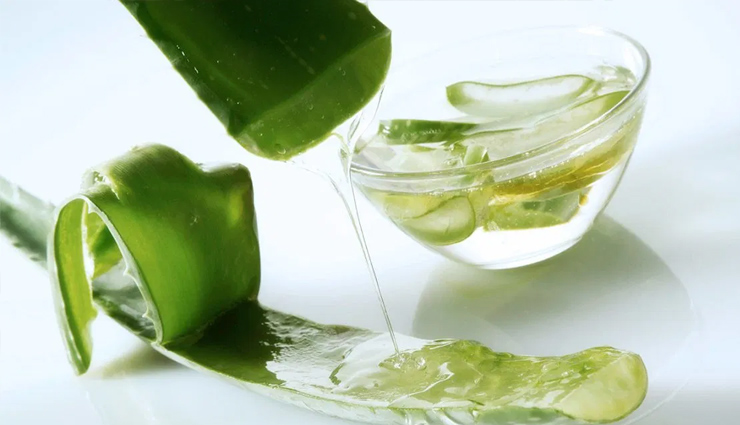 aloe vera,hairs,aloe vera hairs,aloe vera medicine,skin,aloe vera plant,beauty news in hindi
