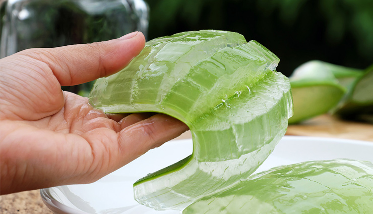 aloe vera,hairs,aloe vera hairs,aloe vera medicine,skin,aloe vera plant,beauty news in hindi
