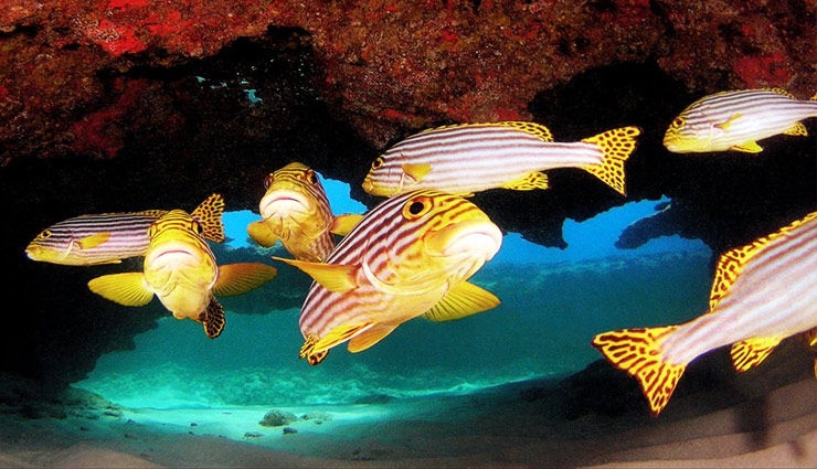 places,adventure,places adventure,macau,lakshadweep,kualalampur,malaysia,bungee jumping,scuba diving,tourism news in hindi