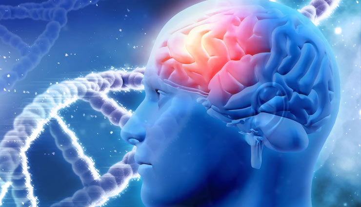 coronavirus,kaccha paneer,raw paneer,paneer medicine,paneer advantages,diabetes. blood sugar,vitamin b complex,healthy heart,body building,health article in hindi