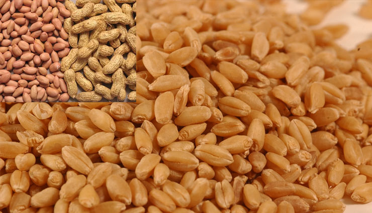 allergy,allergy problem,things allergy,skin,cough,allergen,food items,milk,egg,wheat,groundnut,fish,spring,medicine,cosmetics,health article in hindi