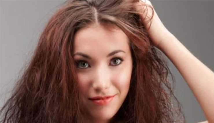 aloe vera,hairs,aloe vera hairs,aloe vera medicine,skin,aloe vera plant,beauty news in hindi