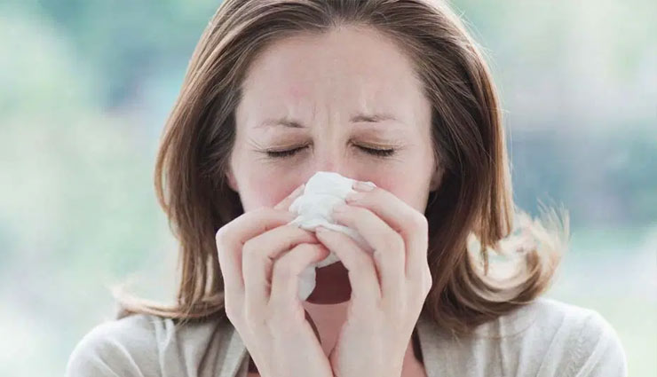 coronavirus,kiwi,kiwi fruit,kiwi advantages,kiwi medicine,immunity system,flu,cold,blood pressure,cholesterol,eyes,eye sight,health article in hindi