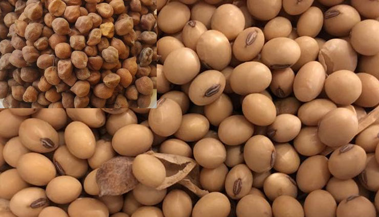 allergy,allergy problem,things allergy,skin,cough,allergen,food items,milk,egg,wheat,groundnut,fish,spring,medicine,cosmetics,health article in hindi