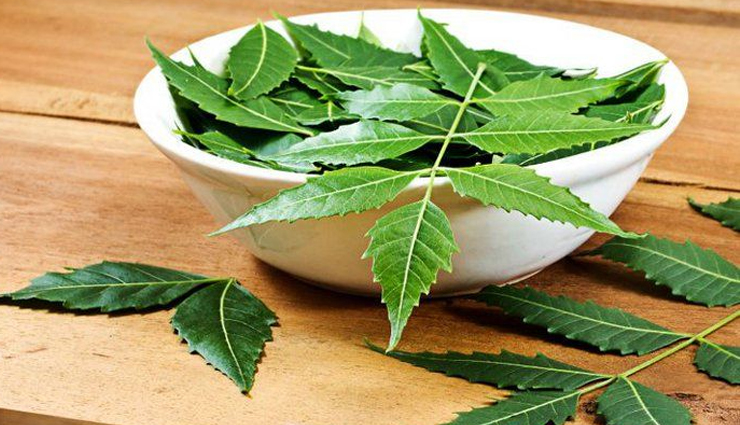 skin allergy,skin allergy reasons,skin allergy symptoms,skin allergy home tips,immunity,rashes,itch,pimples,neem aloe vera,health article in hindi