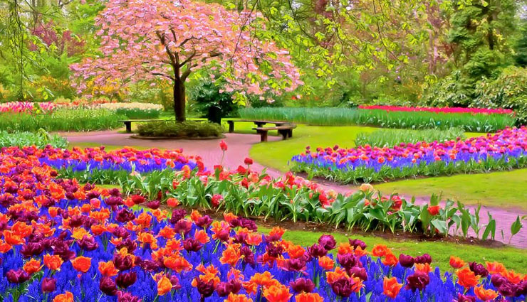 allergy,allergy problem,things allergy,skin,cough,allergen,food items,milk,egg,wheat,groundnut,fish,spring,medicine,cosmetics,health article in hindi