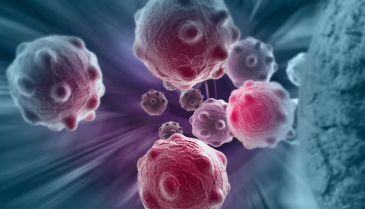 ajinomoto,msg,mono sodium glumate,tomato,paneer,mushroom,fast food,frozen food,chest pain,headache,sleep,cancer,brain,vein,health article in hindi