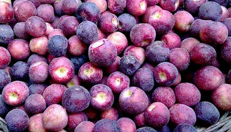 फालसा : नहीं कोई तुझसा! शरीर को देता रोगों से लड़ने की शक्ति और...
