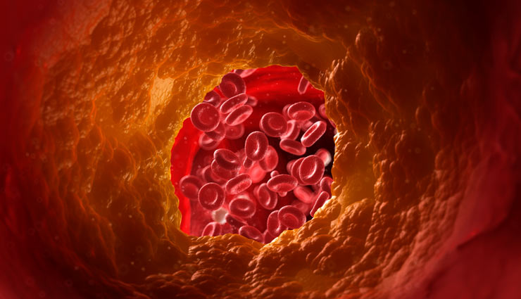 chia seeds,chia beej,chia beej superfood,nervous system,heart,cholesterol,weight,swelling,health article in hindi