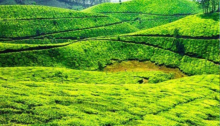 solo traveling,india,holidays,girl,girl holiday,tourism news in hindi