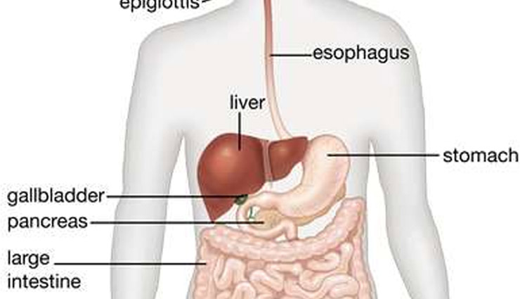 radish,medicinal values,radish medicinal values,cancer,diabetes,blood pressure,heart,ringworm,itch,swelling,eyes,health article in hindi