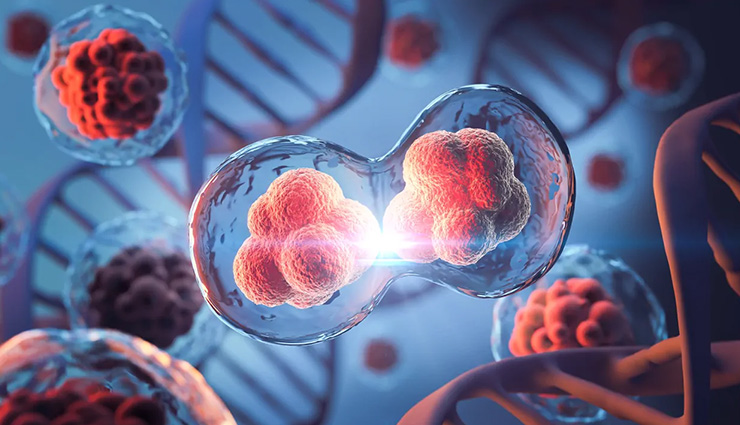 purple fruits health benefits,benefits of purple veggies,purple foods and cancer prevention,antioxidant-rich purple foods,least known health benefits of purple fruits,purple vegetables for brain health,anti-inflammatory purple foods,purple superfoods,health benefits of eating purple fruits,nutritional benefits of purple veggies