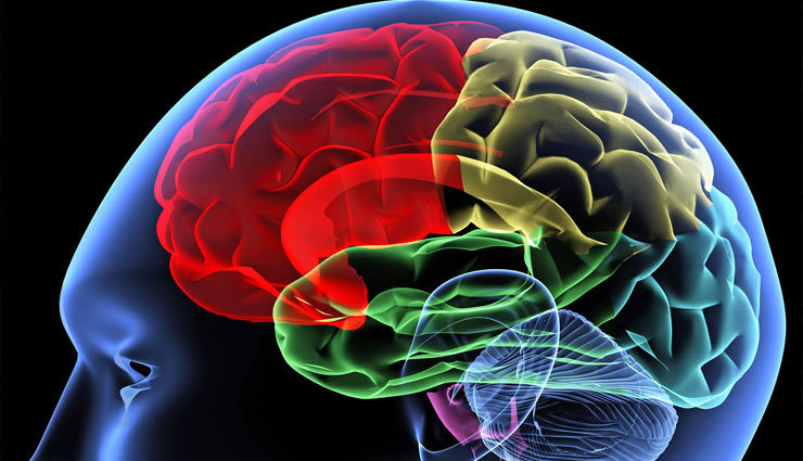 coronavirus,tulsi,holy basil,tulsi benefits,tulsi medicine,brain,shyama tulsi,rama tulsi,night blindness,ear pain,lice,health article in hindi