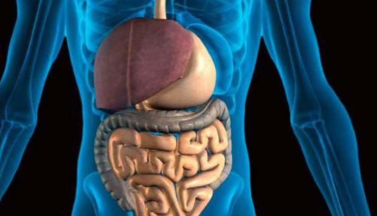 amla powder,amla,gooseberry,vitamin c,eyesight,cataract,immunity,heart,sore throat,health article in hindi