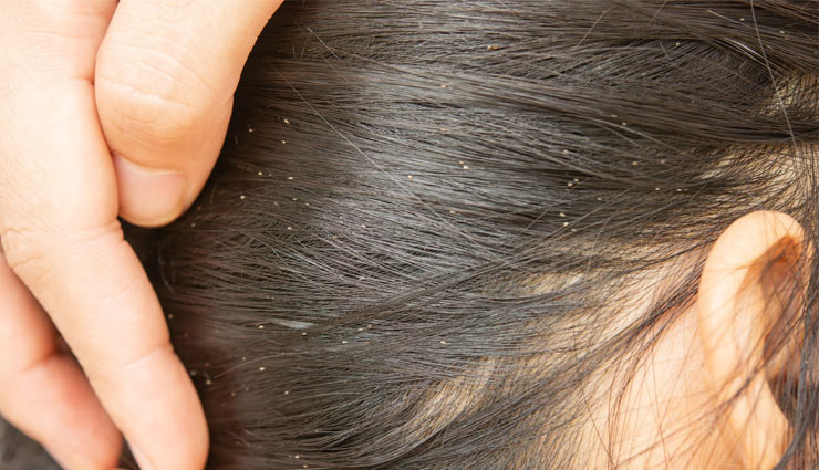 coronavirus,tulsi,holy basil,tulsi benefits,tulsi medicine,brain,shyama tulsi,rama tulsi,night blindness,ear pain,lice,health article in hindi