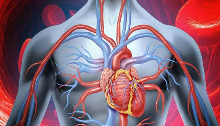 coronavirus,urad dal,arhar dal,moong dal,benefits of dal,qualities of dal,nutrition in dal,pulses,dal medicine,dal advantage,health article in hindi