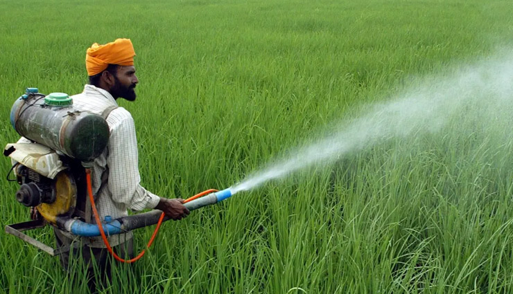 organic food,pesticides,fertilizers,non organic foods,biological farming,health news in hindi