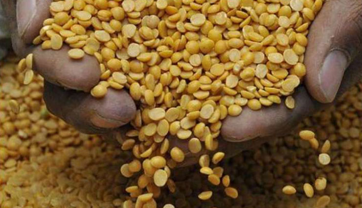 coronavirus,urad dal,arhar dal,moong dal,benefits of dal,qualities of dal,nutrition in dal,pulses,dal medicine,dal advantage,health article in hindi