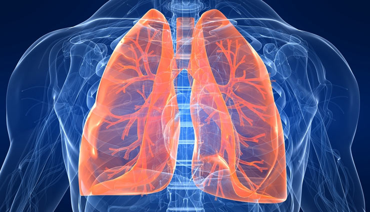 Apple,apple fruit,apple diseases,apple health,respiration,heart,toothache,skin,diabetes,intestine,constipation,overweight,health article in hindi