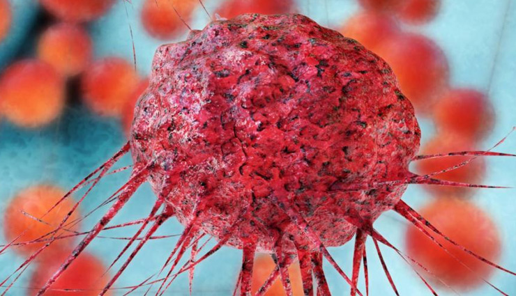 bhang seeds,bhang oil,hemp,hemp seed,bhang seeds medicine,heart,diabetes,brain,skin,digestion,health article in hindi