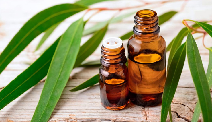 aromatherapy,joint pain,aromatherapy joint pain,bones,shoulder,wrist,hips,knee,health news in hindi