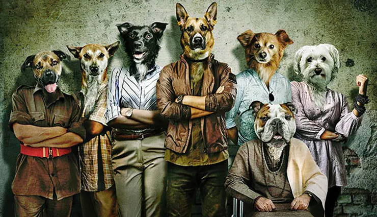 ‘कुत्ते’ फिल्म का फर्स्ट लुक जारी, कार्तिक ने शुरू की ‘भूल भूलैया 2’ की शूटिंग, तब्बू के साथ Photo शेयर
