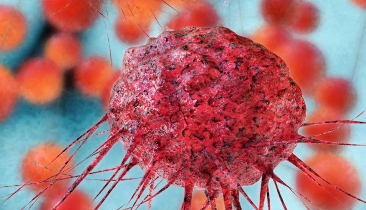 मूंगफली : पाई जाती है प्रोटीन और फाइबर की उच्च मात्रा, इन बीमारियों में है फायदेमंद
groundnut,groundnut benefits,fiber,protein,power pack,groundnut health,diabetes,cancer,heart,weight loss,bones,health article in hindi