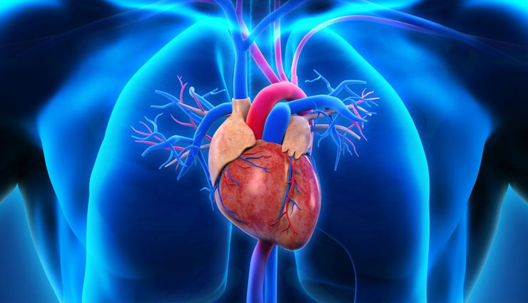 मूंगफली : पाई जाती है प्रोटीन और फाइबर की उच्च मात्रा, इन बीमारियों में है फायदेमंद
groundnut,groundnut benefits,fiber,protein,power pack,groundnut health,diabetes,cancer,heart,weight loss,bones,health article in hindi