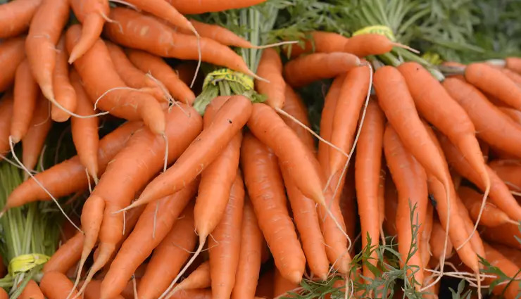 eyesight,eye,sight,screen time,smartphone,laptop,computer,tv,health news in hindi