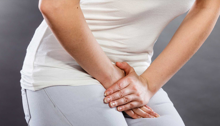 health benefits,giloy,giloy health benefits,diabetes,giloy leaf,liver,eyes,tb,health news in hindi