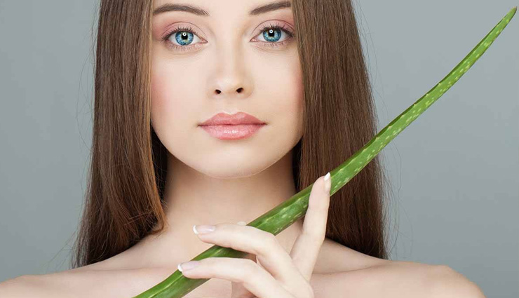 एलोवेरा : हसीं और जवां दिखाता, त्वचा को बेदाग बनाता और अंदर से निखारता
