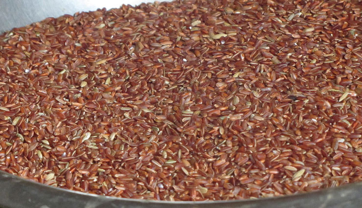 rice,medicinal benefits,rice medicine,rice plant,constipation,piles,jaundice,urine problem,health news in hindi