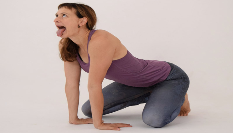 yogasana,yoga,skin,hairs,skin hairs,pranayama,halasana,balayam,vajrasana,health article in hindi